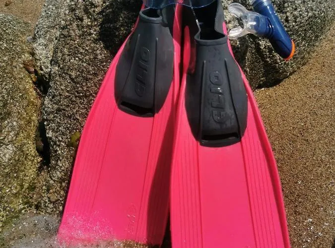 Calypso Apartamento Ierissos